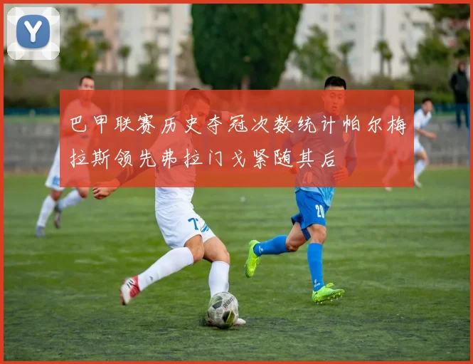 巴甲联赛历史夺冠次数统计帕尔梅拉斯领先弗拉门戈紧随其后