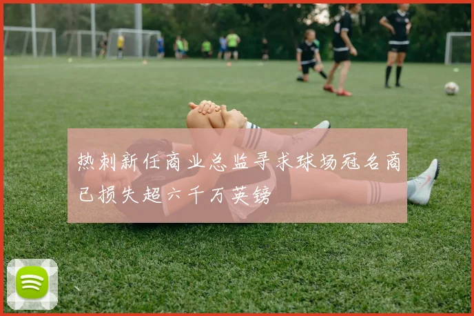 热刺新任商业总监寻求球场冠名商已损失超六千万英镑